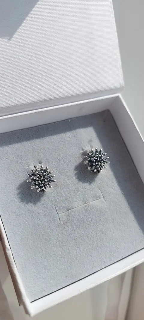 Сережки Їжачки